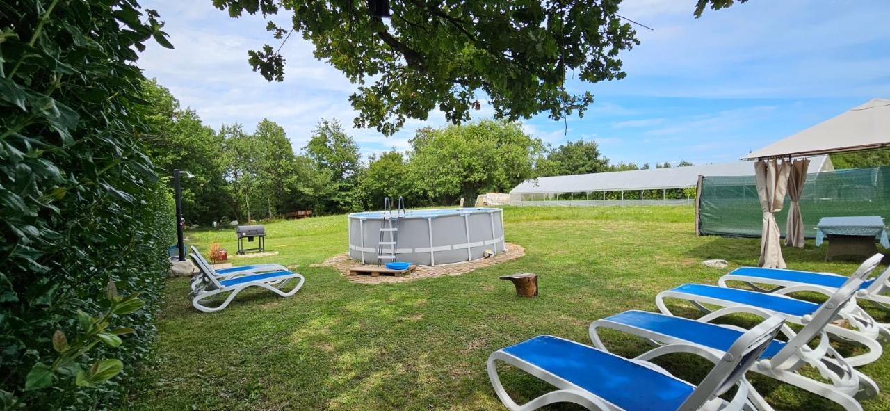 Holiday Apartment Arman ヴィジナダ エクステリア 写真